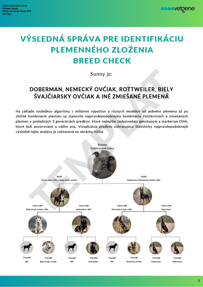 Náhľad výsledku testu